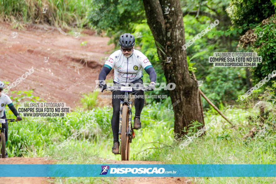 1ª EDIÇÃO DESAFIO ABELHA GRANDE - XCM