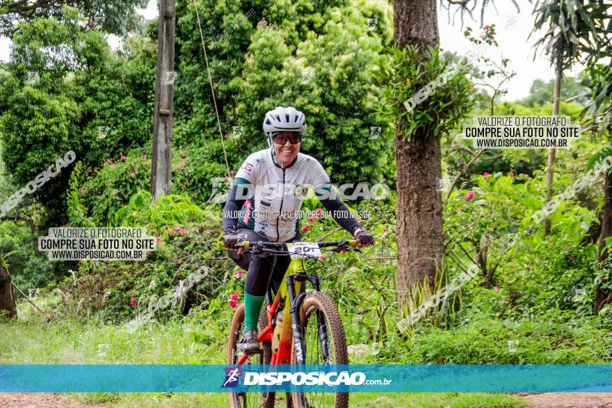 1ª EDIÇÃO DESAFIO ABELHA GRANDE - XCM