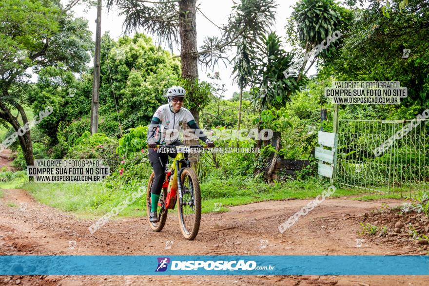 1ª EDIÇÃO DESAFIO ABELHA GRANDE - XCM