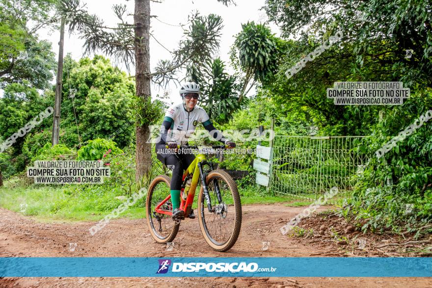 1ª EDIÇÃO DESAFIO ABELHA GRANDE - XCM