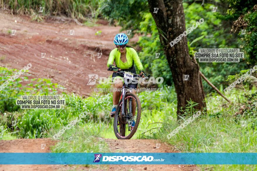 1ª EDIÇÃO DESAFIO ABELHA GRANDE - XCM