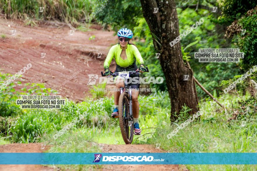 1ª EDIÇÃO DESAFIO ABELHA GRANDE - XCM