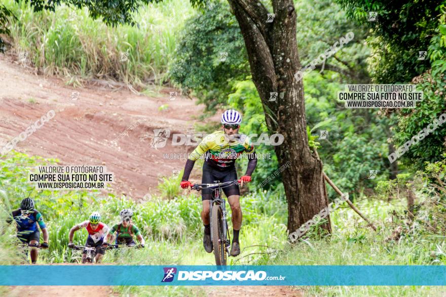 1ª EDIÇÃO DESAFIO ABELHA GRANDE - XCM