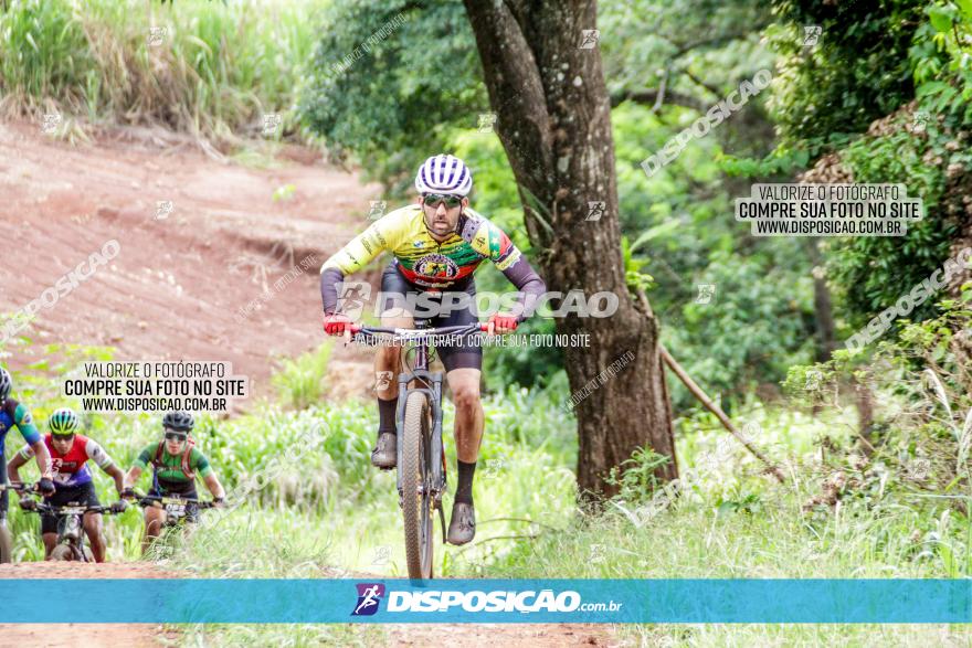 1ª EDIÇÃO DESAFIO ABELHA GRANDE - XCM