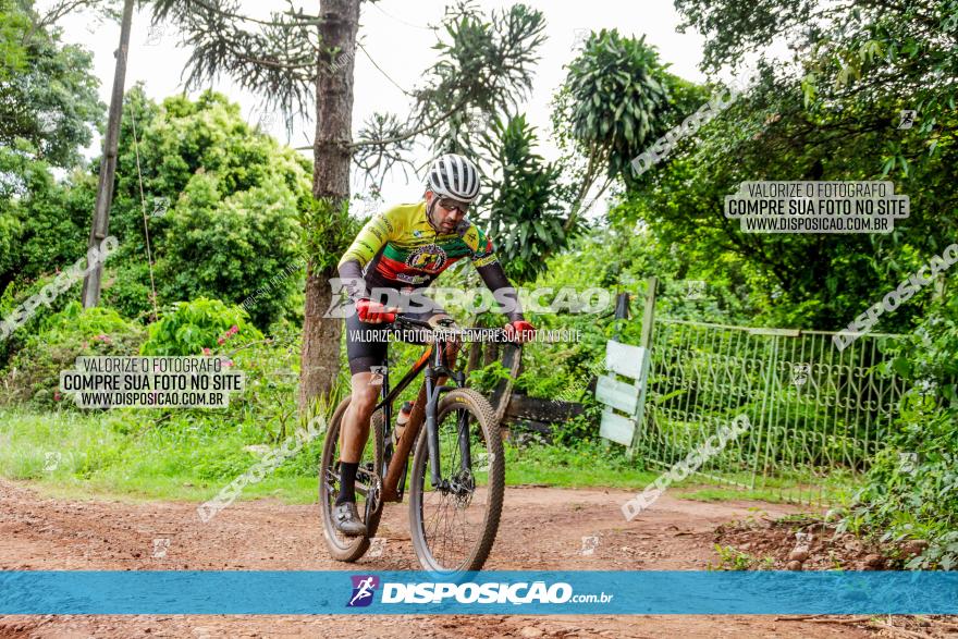 1ª EDIÇÃO DESAFIO ABELHA GRANDE - XCM