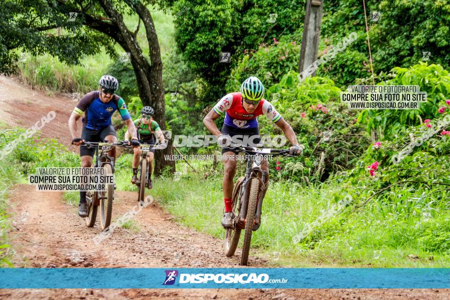 1ª EDIÇÃO DESAFIO ABELHA GRANDE - XCM