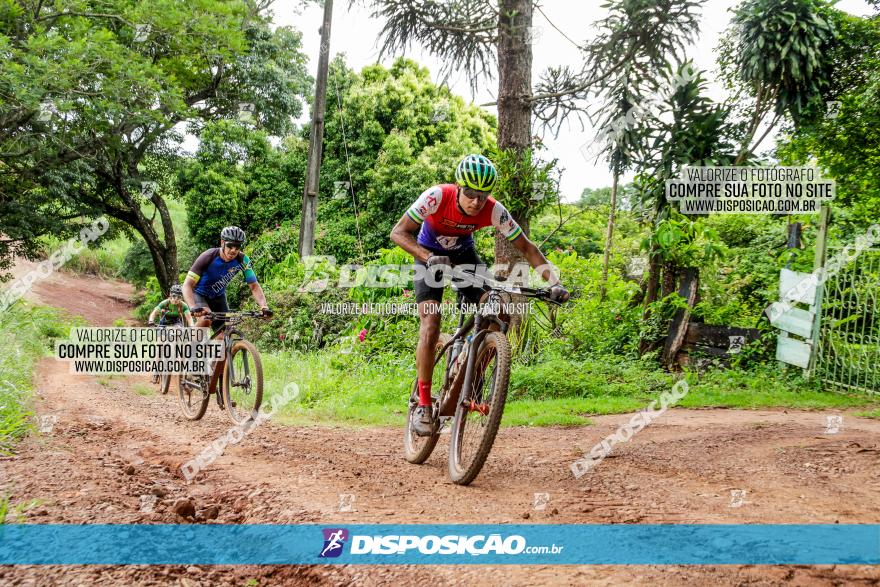 1ª EDIÇÃO DESAFIO ABELHA GRANDE - XCM