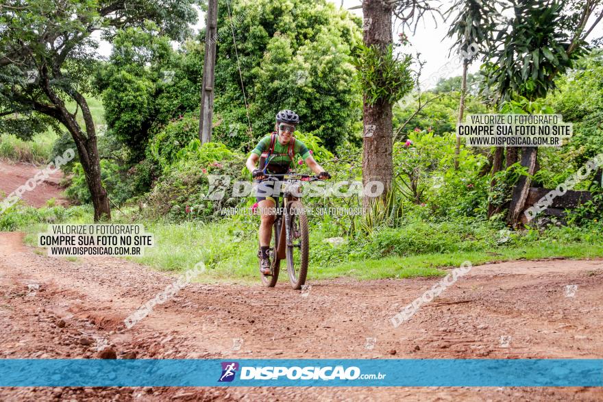 1ª EDIÇÃO DESAFIO ABELHA GRANDE - XCM