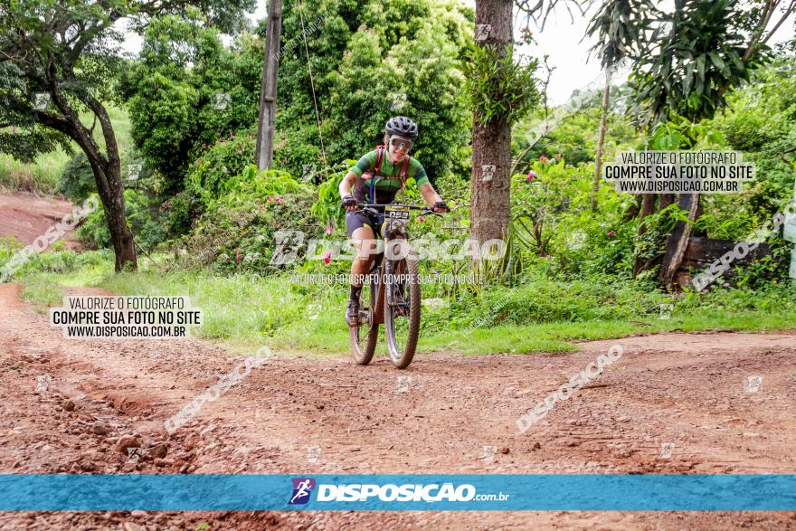 1ª EDIÇÃO DESAFIO ABELHA GRANDE - XCM