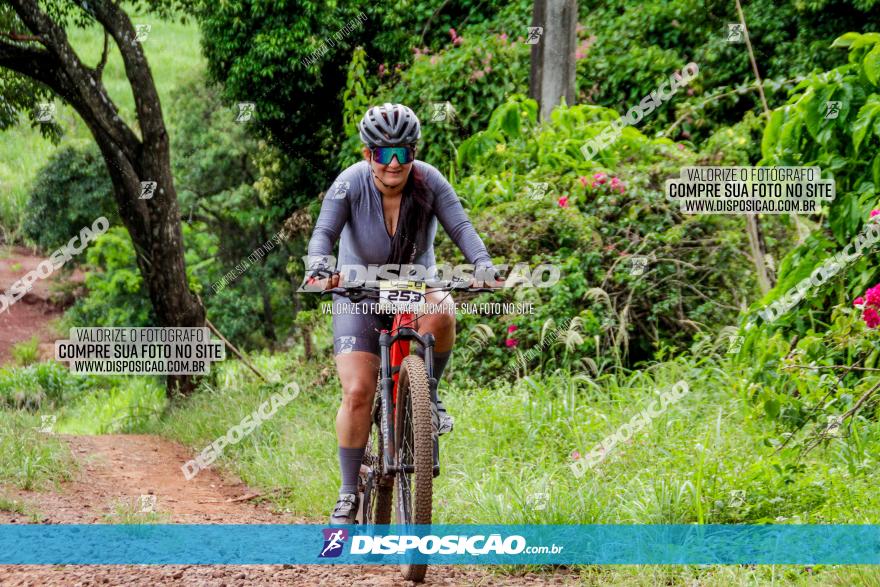 1ª EDIÇÃO DESAFIO ABELHA GRANDE - XCM