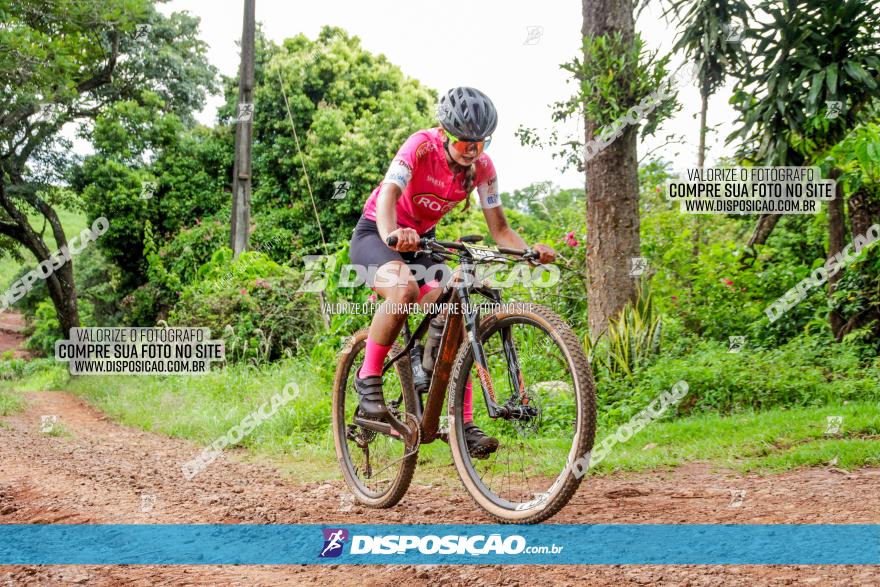 1ª EDIÇÃO DESAFIO ABELHA GRANDE - XCM