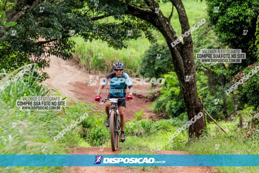 1ª EDIÇÃO DESAFIO ABELHA GRANDE - XCM