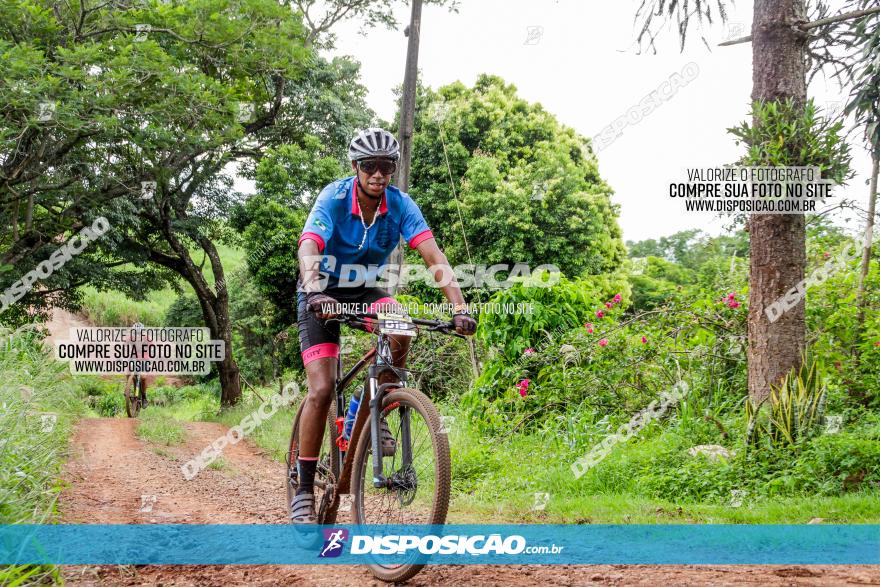 1ª EDIÇÃO DESAFIO ABELHA GRANDE - XCM