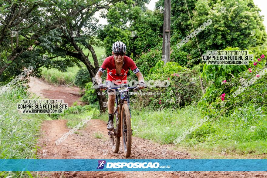 1ª EDIÇÃO DESAFIO ABELHA GRANDE - XCM