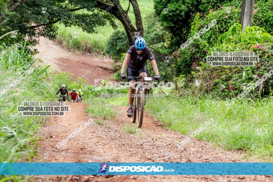 1ª EDIÇÃO DESAFIO ABELHA GRANDE - XCM