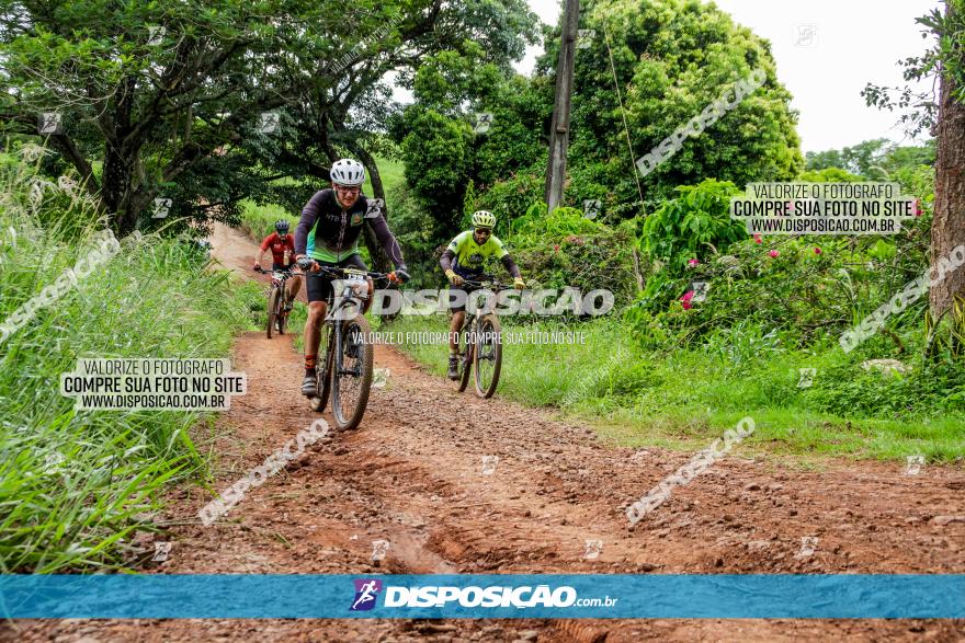 1ª EDIÇÃO DESAFIO ABELHA GRANDE - XCM