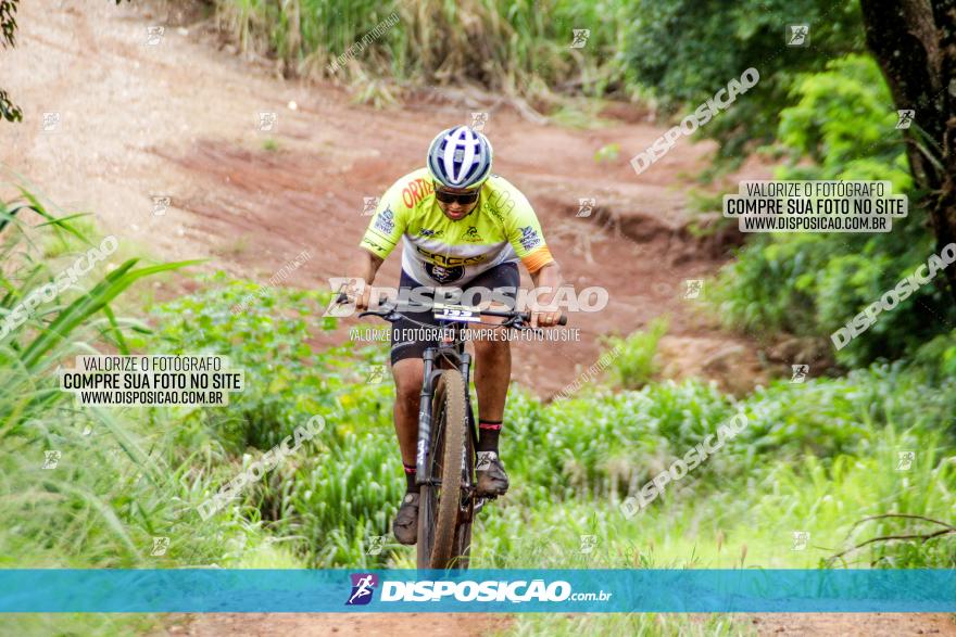 1ª EDIÇÃO DESAFIO ABELHA GRANDE - XCM