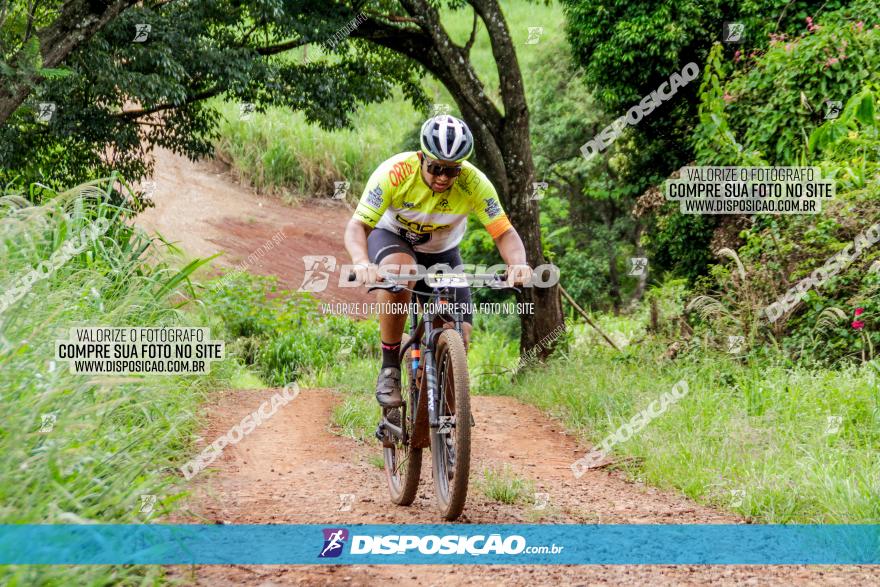 1ª EDIÇÃO DESAFIO ABELHA GRANDE - XCM