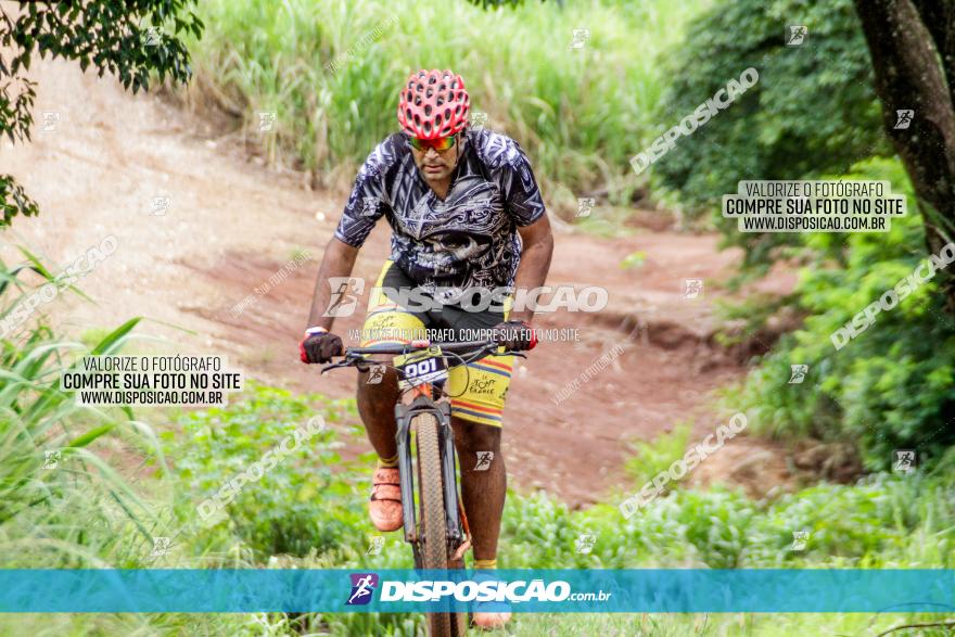 1ª EDIÇÃO DESAFIO ABELHA GRANDE - XCM