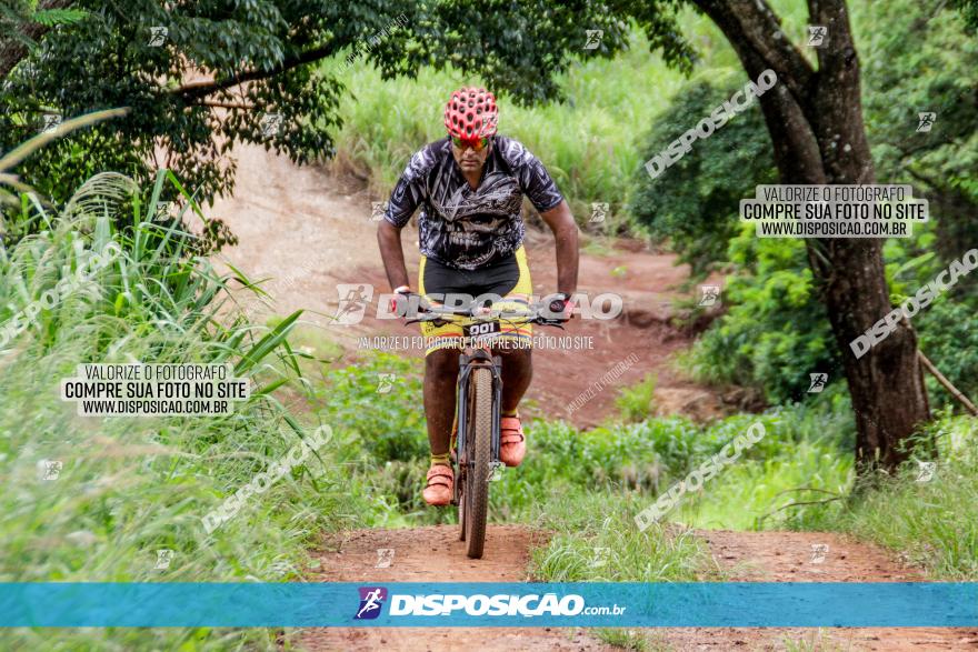 1ª EDIÇÃO DESAFIO ABELHA GRANDE - XCM