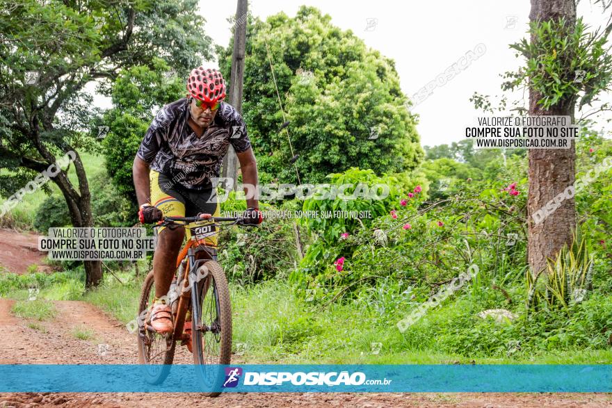 1ª EDIÇÃO DESAFIO ABELHA GRANDE - XCM