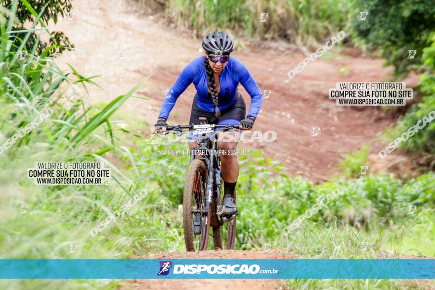 1ª EDIÇÃO DESAFIO ABELHA GRANDE - XCM