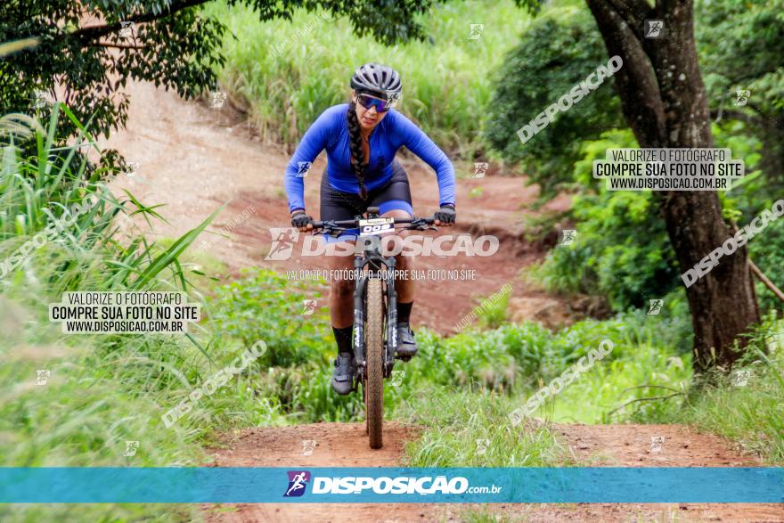 1ª EDIÇÃO DESAFIO ABELHA GRANDE - XCM