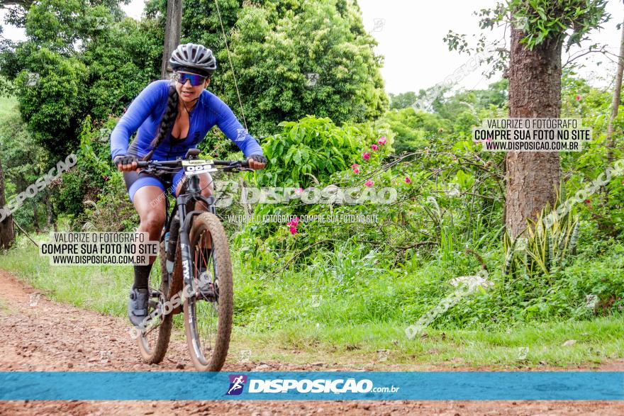 1ª EDIÇÃO DESAFIO ABELHA GRANDE - XCM