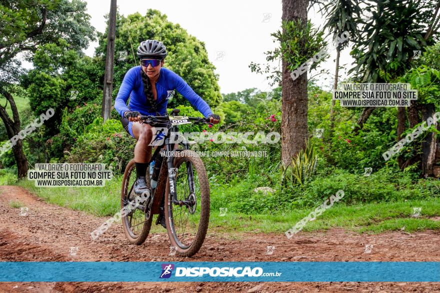 1ª EDIÇÃO DESAFIO ABELHA GRANDE - XCM