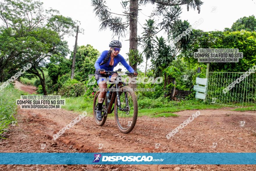 1ª EDIÇÃO DESAFIO ABELHA GRANDE - XCM