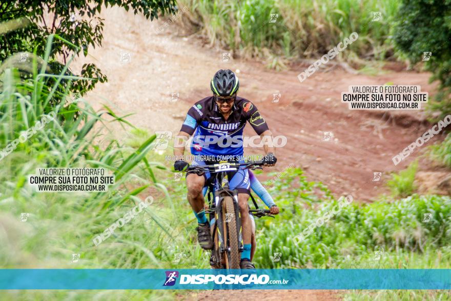 1ª EDIÇÃO DESAFIO ABELHA GRANDE - XCM