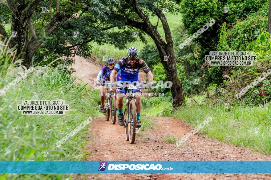 1ª EDIÇÃO DESAFIO ABELHA GRANDE - XCM