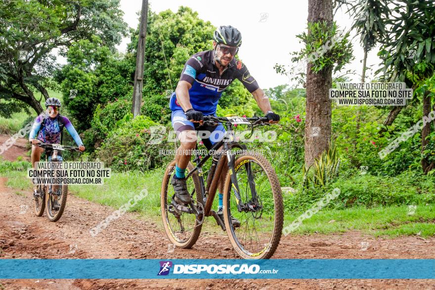 1ª EDIÇÃO DESAFIO ABELHA GRANDE - XCM