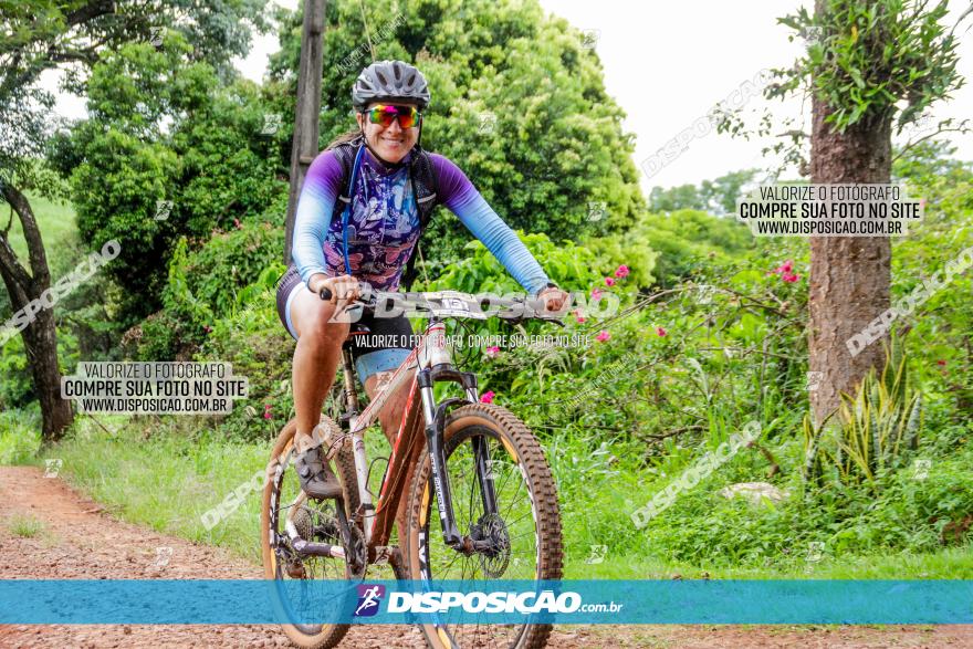 1ª EDIÇÃO DESAFIO ABELHA GRANDE - XCM