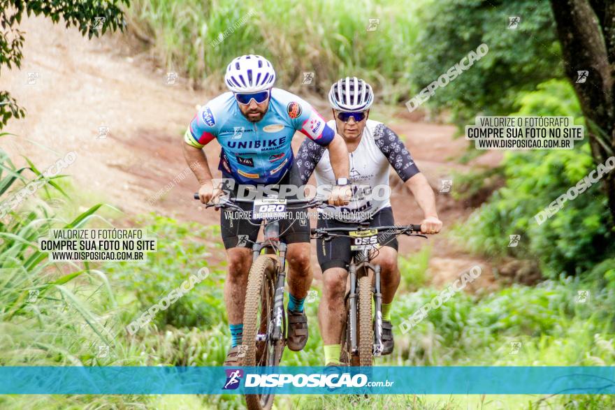 1ª EDIÇÃO DESAFIO ABELHA GRANDE - XCM