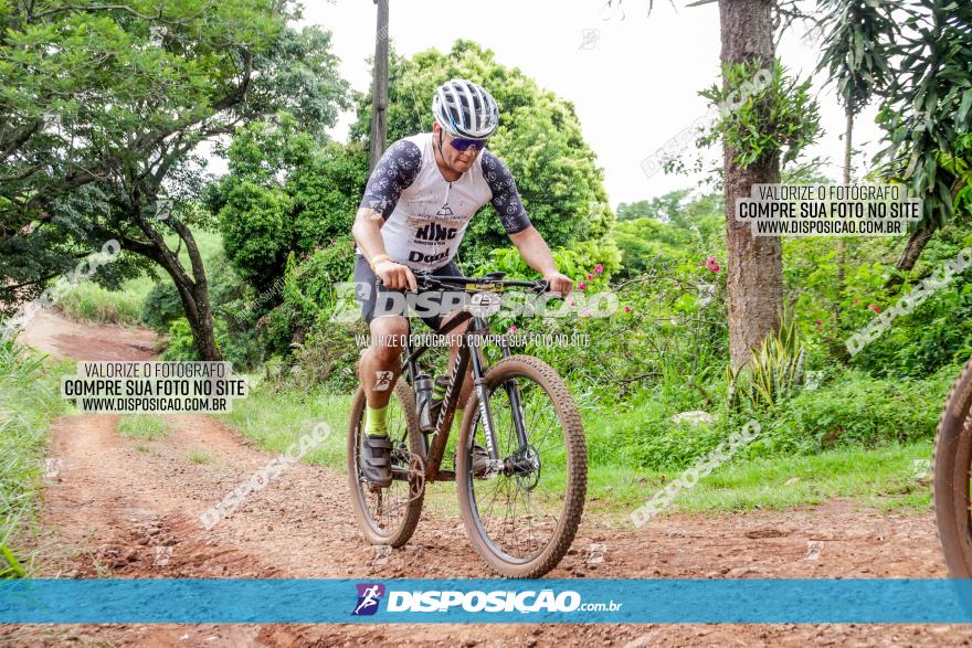 1ª EDIÇÃO DESAFIO ABELHA GRANDE - XCM