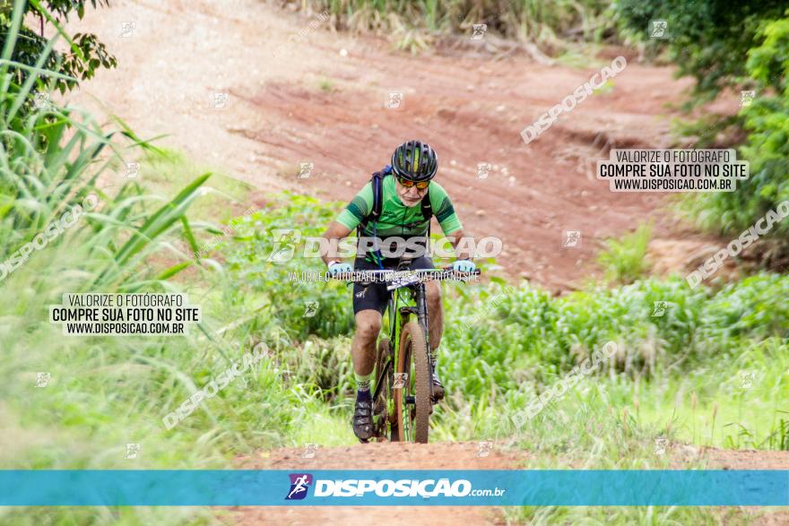 1ª EDIÇÃO DESAFIO ABELHA GRANDE - XCM