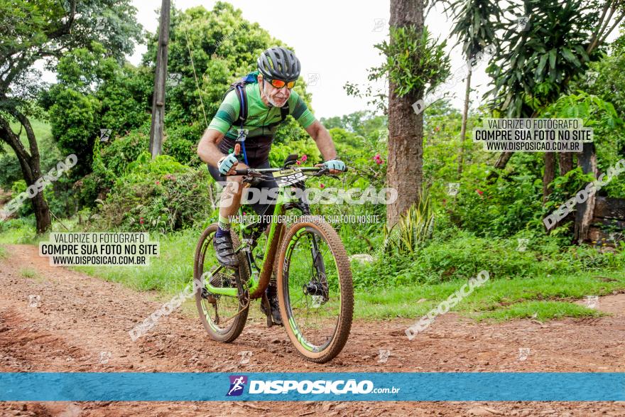 1ª EDIÇÃO DESAFIO ABELHA GRANDE - XCM