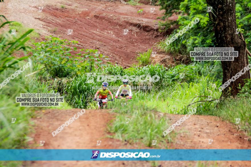 1ª EDIÇÃO DESAFIO ABELHA GRANDE - XCM