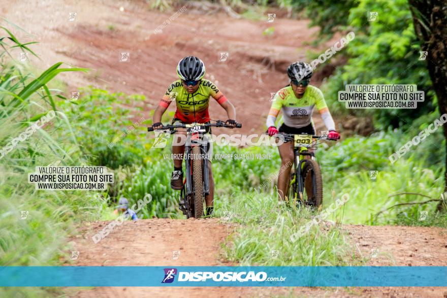 1ª EDIÇÃO DESAFIO ABELHA GRANDE - XCM