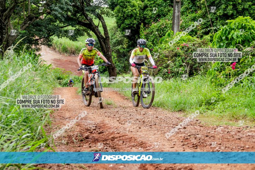 1ª EDIÇÃO DESAFIO ABELHA GRANDE - XCM