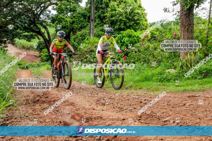 1ª EDIÇÃO DESAFIO ABELHA GRANDE - XCM