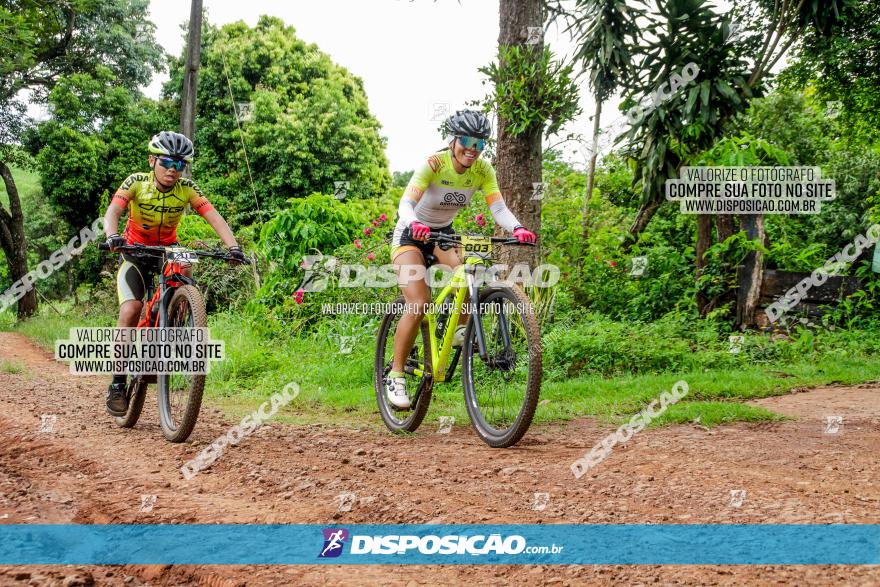 1ª EDIÇÃO DESAFIO ABELHA GRANDE - XCM