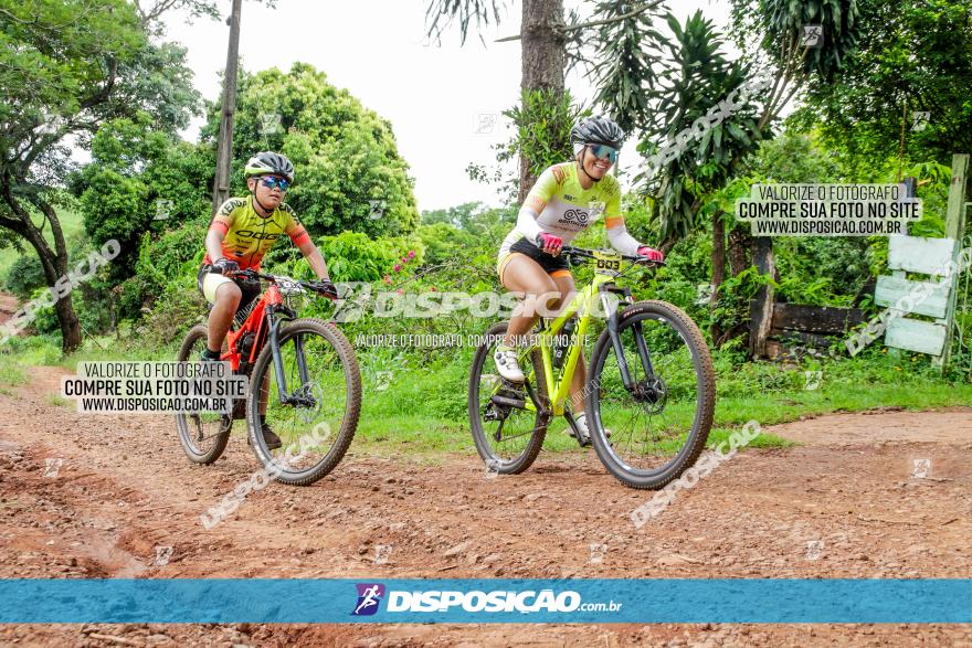 1ª EDIÇÃO DESAFIO ABELHA GRANDE - XCM