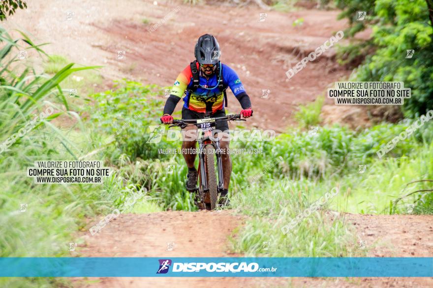 1ª EDIÇÃO DESAFIO ABELHA GRANDE - XCM