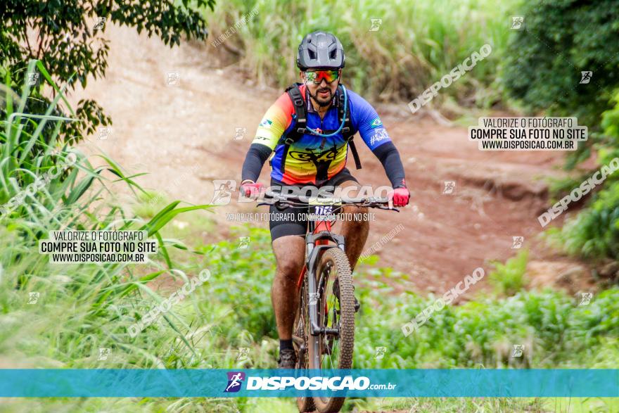 1ª EDIÇÃO DESAFIO ABELHA GRANDE - XCM