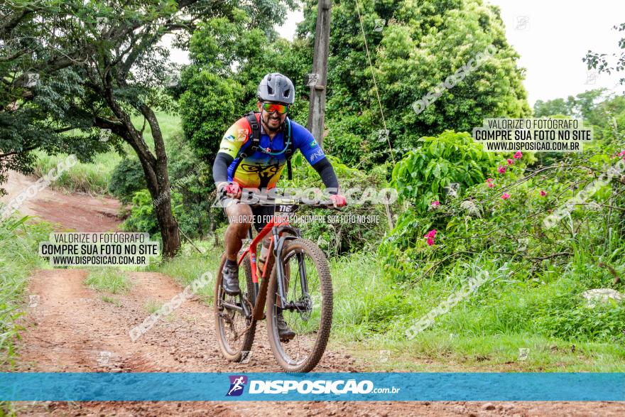 1ª EDIÇÃO DESAFIO ABELHA GRANDE - XCM