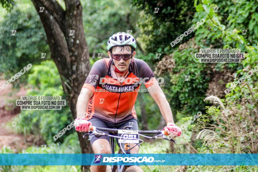 1ª EDIÇÃO DESAFIO ABELHA GRANDE - XCM