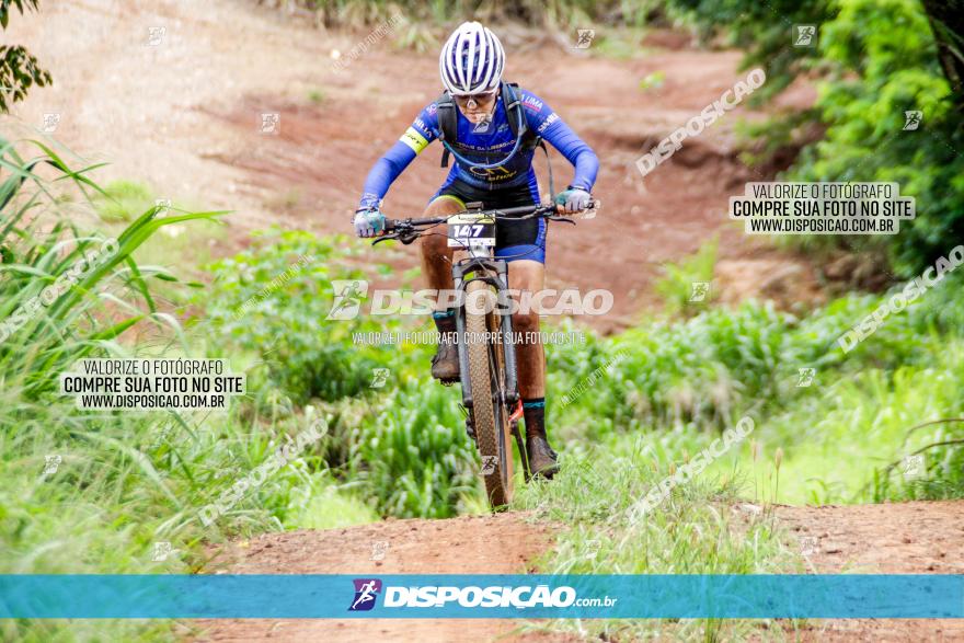 1ª EDIÇÃO DESAFIO ABELHA GRANDE - XCM