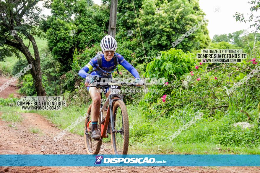 1ª EDIÇÃO DESAFIO ABELHA GRANDE - XCM